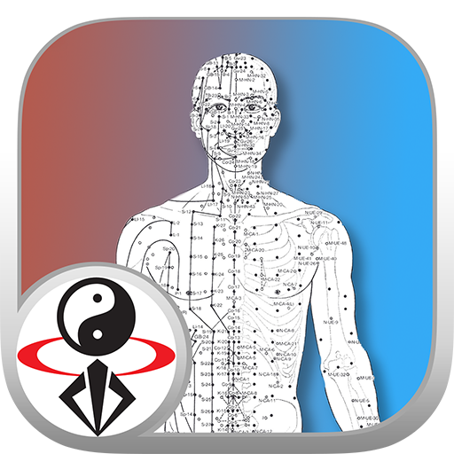 Qi Energy Video Lesson icon