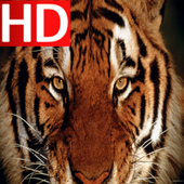 Animal Sounds for Kids icon