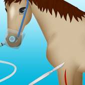 horse surgery games 2