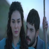 Hercai icon