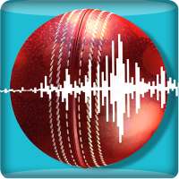 Snickometer : Cricket Prediction Tool