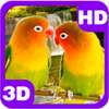 Lovebirds Kissing Cute Parrots Pair on 9Apps
