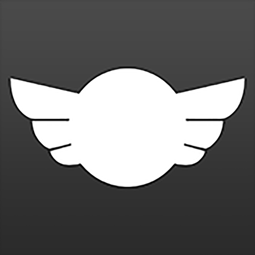 Sky Rider Control icon