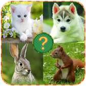 Animals Quiz