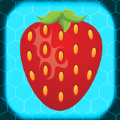 Fruit Burst icon