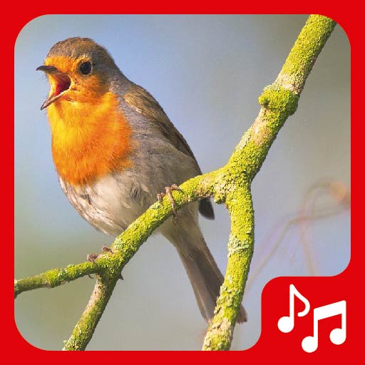 Sounds of birds. Songs and bird tones. icon