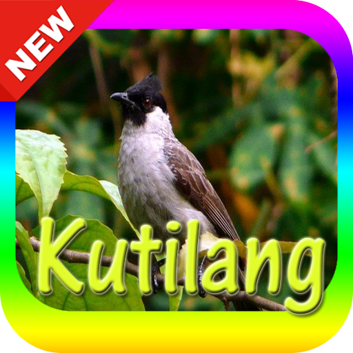 ikon Suara Burung Kutilang Mp3
