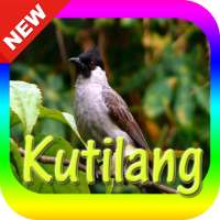 Suara Burung Kutilang Mp3 on 9Apps