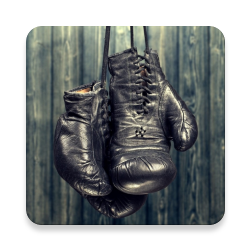 Learn Boxing icon