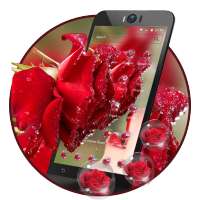 Waterdrop， Flower，Pink Theme & Wallpaper on 9Apps