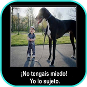 Imágenes Graciosas para Whatsapp Gratis icon