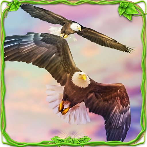 Eagle Racing Simulator: Animal Race Game icon