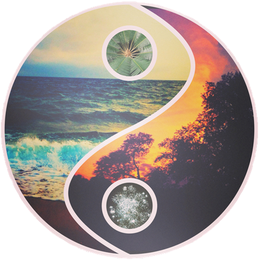 Yin Yang Wallpaper icon