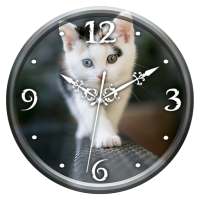 Cat Clock Live Wallpaper