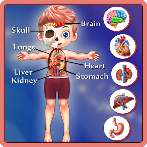 Kids Body Parts Learning icon