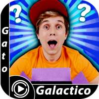 Gato Brazilian Latest wallpapers & pro launchers