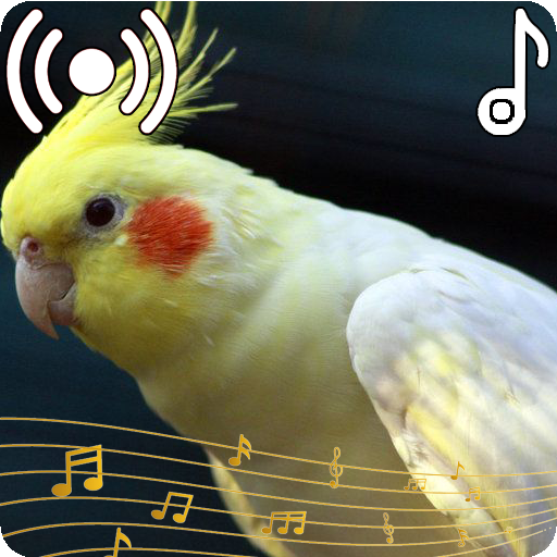 Cockatiel Sounds Ringtone icon