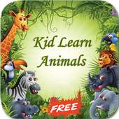 Animals Voice - Animal Kingdom on 9Apps