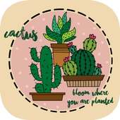 Cute Cactus Theme on 9Apps