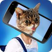 What you are Cat? Face Scanner