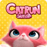 Cat Run ShaSha