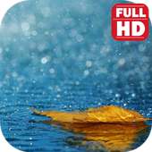 Free Rain Sleep Sounds Download. on 9Apps