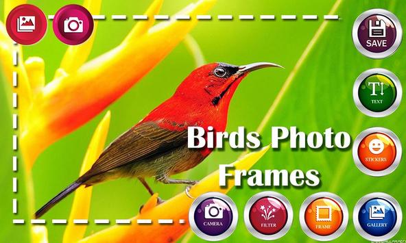 Birds HD Photo Frames and Live Wallpapers screenshot 2