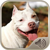 Barking Dog Sounds أيقونة