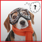 Perro traductor icon