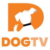 DOGTV: Television for dogs on 9Apps