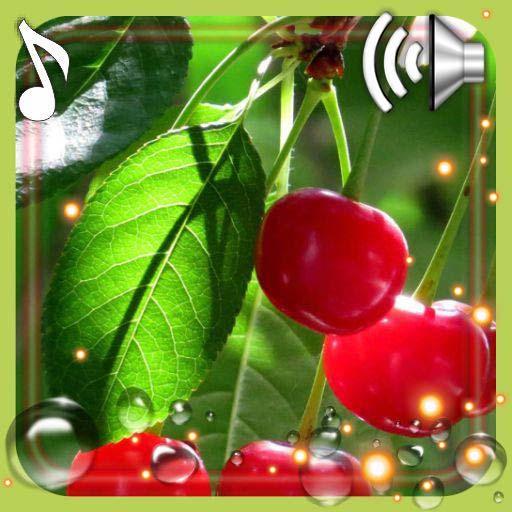 Berry Juicy icon