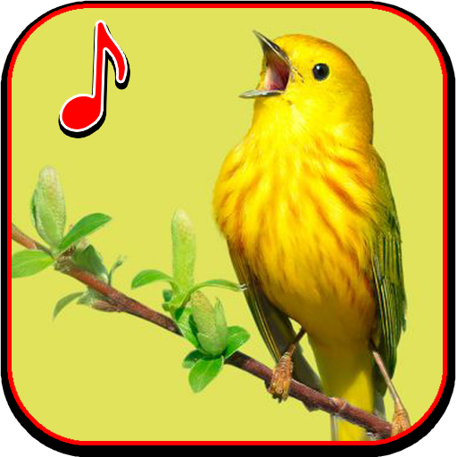 Birds Ringtone icon