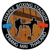 Thapae Night Fight icon