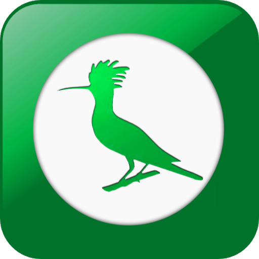 Chtari App icon