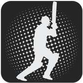 Cricket