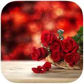 Red Rose and Heart on 9Apps