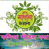 Bangla Islamic Song (Gojol)