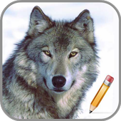 How To Draw Wolf icon