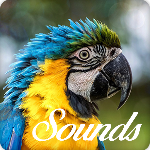 Parrot Bird Song Sounds and Ringtone Audio icon