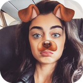 Sweet Camera, Face Filter, Selfie Editor, collage icon