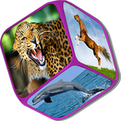 Animals Sounds 3D  icon