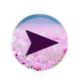 MP5 Player HD on 9Apps