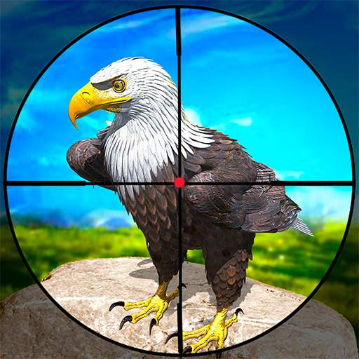 Hunting Games: Bird Shooting