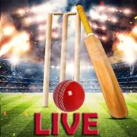 Live Cricket Score 2021 - Fast Ball-By-Ball Score