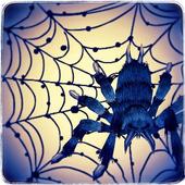SPIDER RUN 3D icon