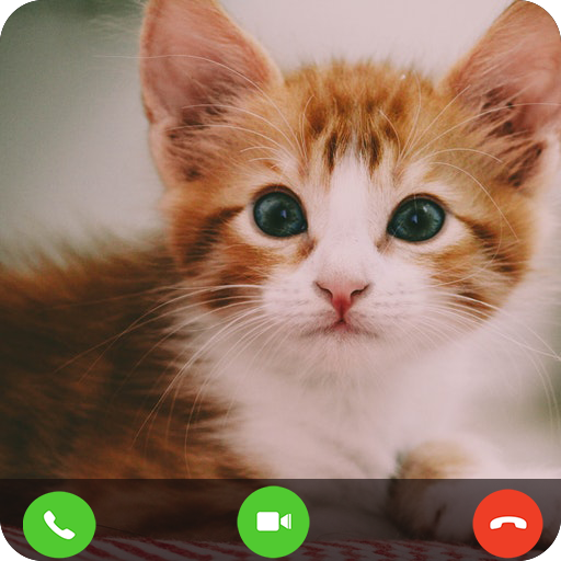 Cat Fake Video Call prank icon