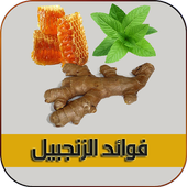 فوائد الزنجبيل بدون نت أيقونة