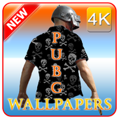 wallpapers pubg 4k icon