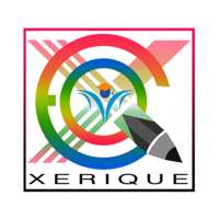 Xerique Video Player