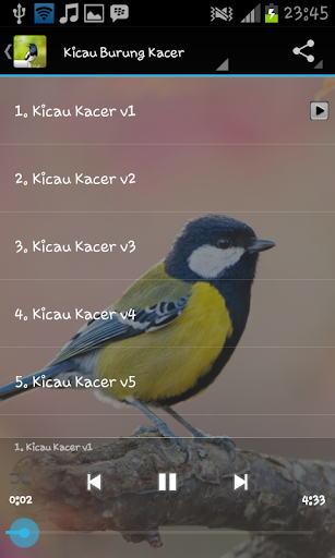 Kacer Birds screenshot 2